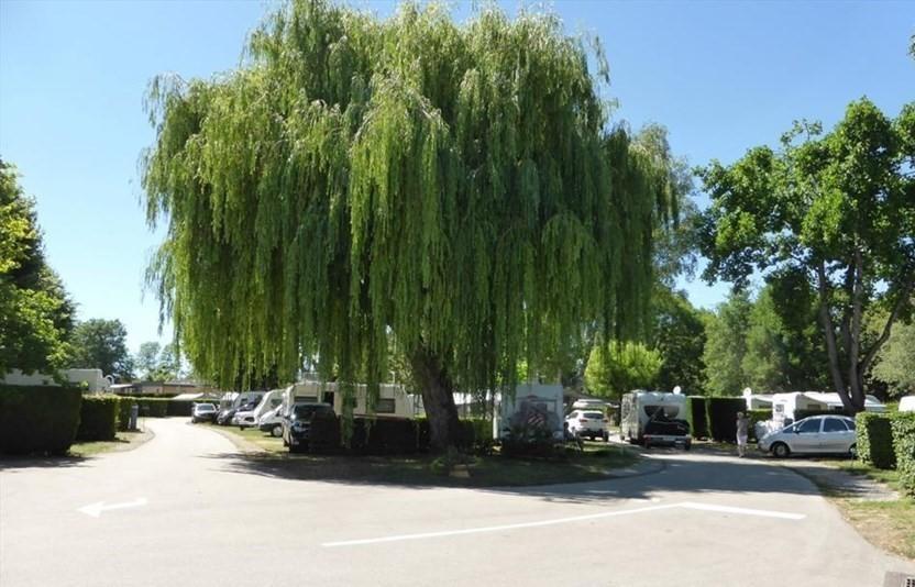 Camping Du Paquier Fané Chagny  Bagian luar foto