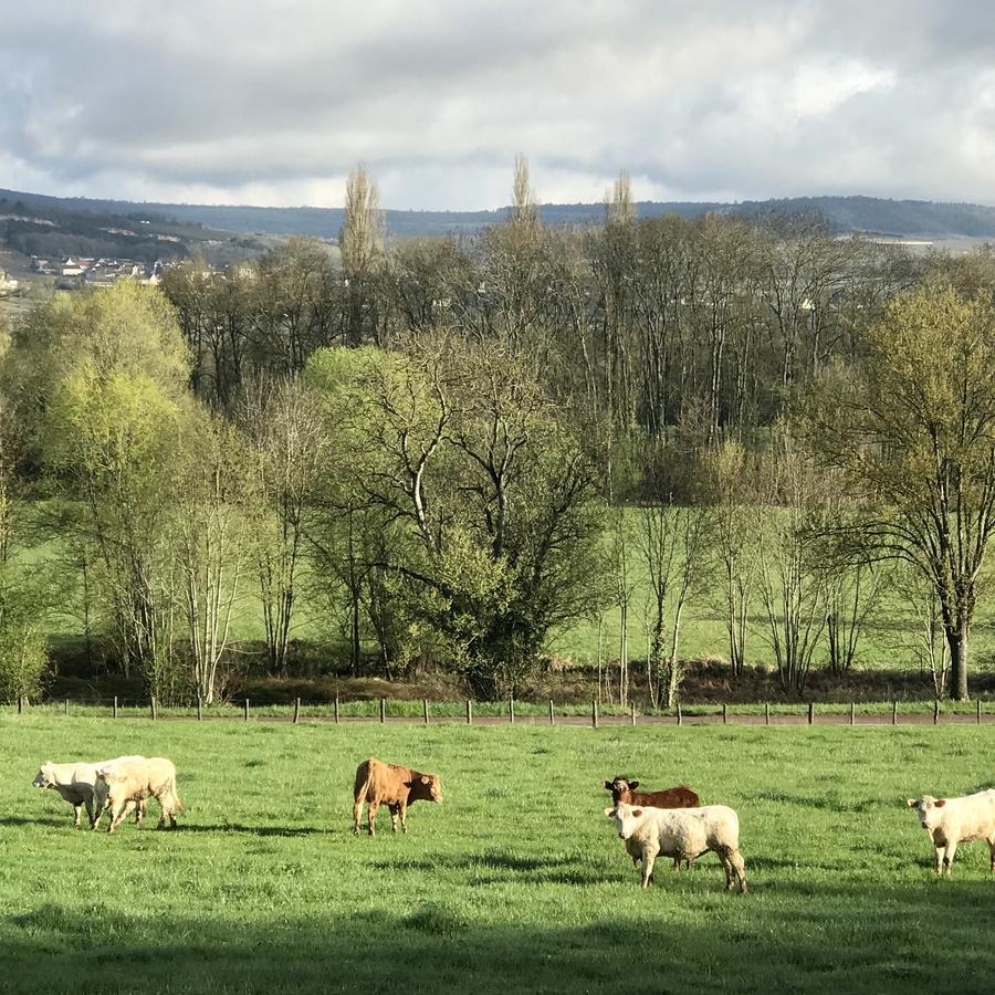 Camping Du Paquier Fané Chagny  Bagian luar foto